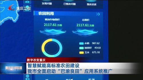重庆新闻在哪儿能够爆料,市民爆料,聚焦民生热点问题  第3张 重庆新闻在哪儿能够爆料,市民爆料,聚焦民生热点问题  第3张